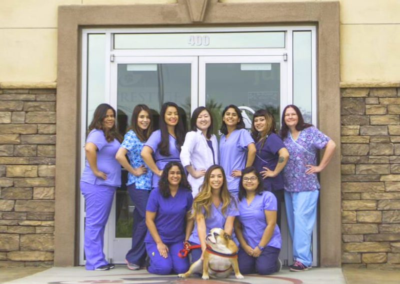 Home Prestige Animal Hospital South Fontana